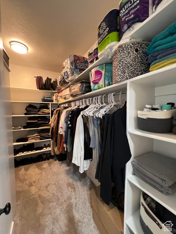 Spacious closet featuring carpet flooring