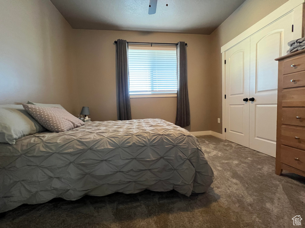 Carpeted bedroom featuring a closet and ceiling fan