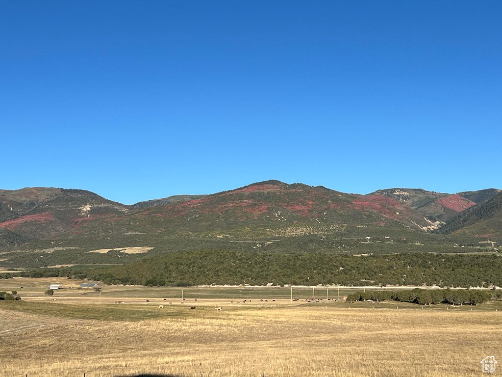 View of mountain feature featuring a rural view