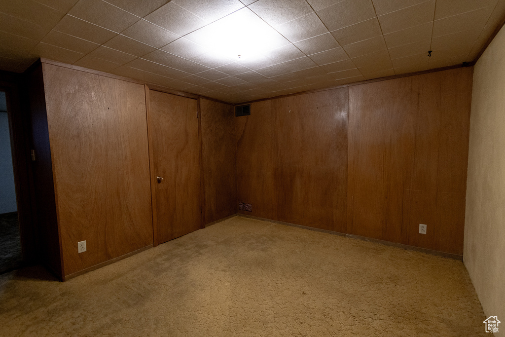 Basement featuring wood walls and light colored carpet