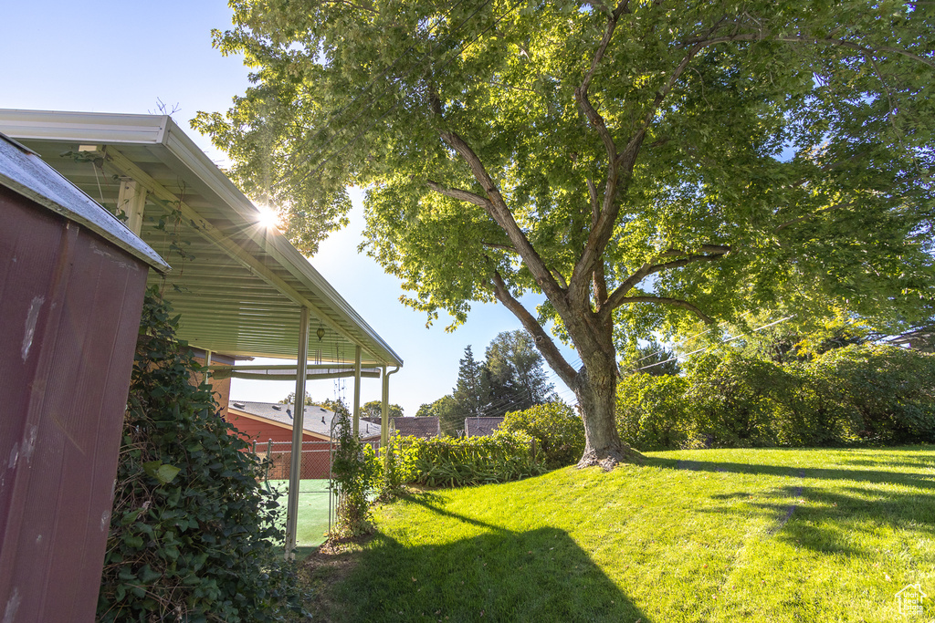 View of yard