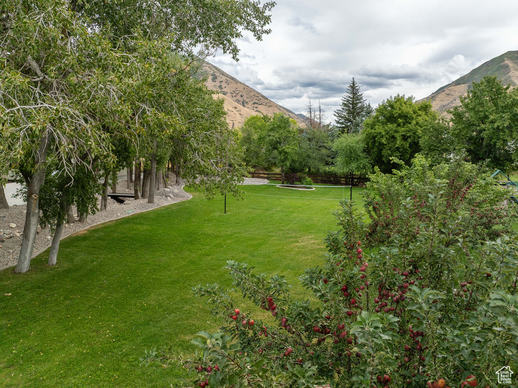 View of yard featuring a mountain view