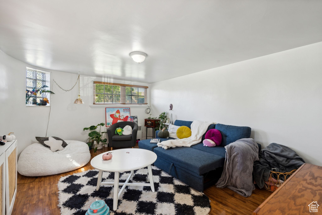 Living room featuring dark wood-type flooring