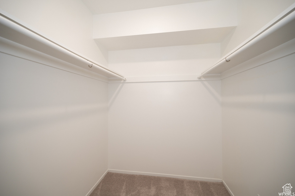 Walk in closet with carpet flooring