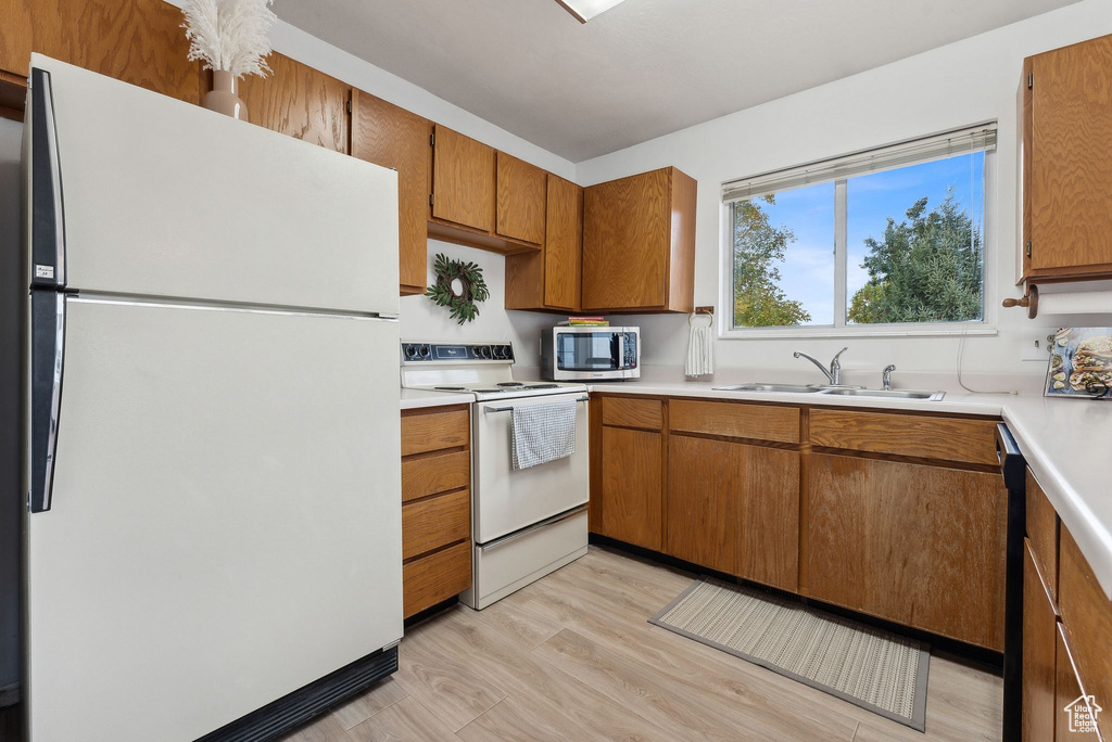 Kitchen with sink, dishwasher, stove, white fridge, and light hardwood / wood-style flooring