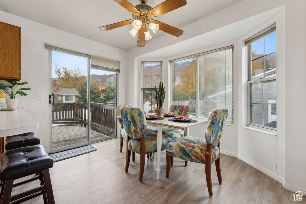 Dining area featuring ceiling fan and light hardwood / wood-style flooring