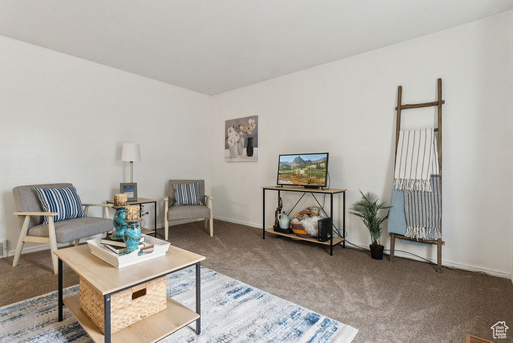 Sitting room featuring carpet floors