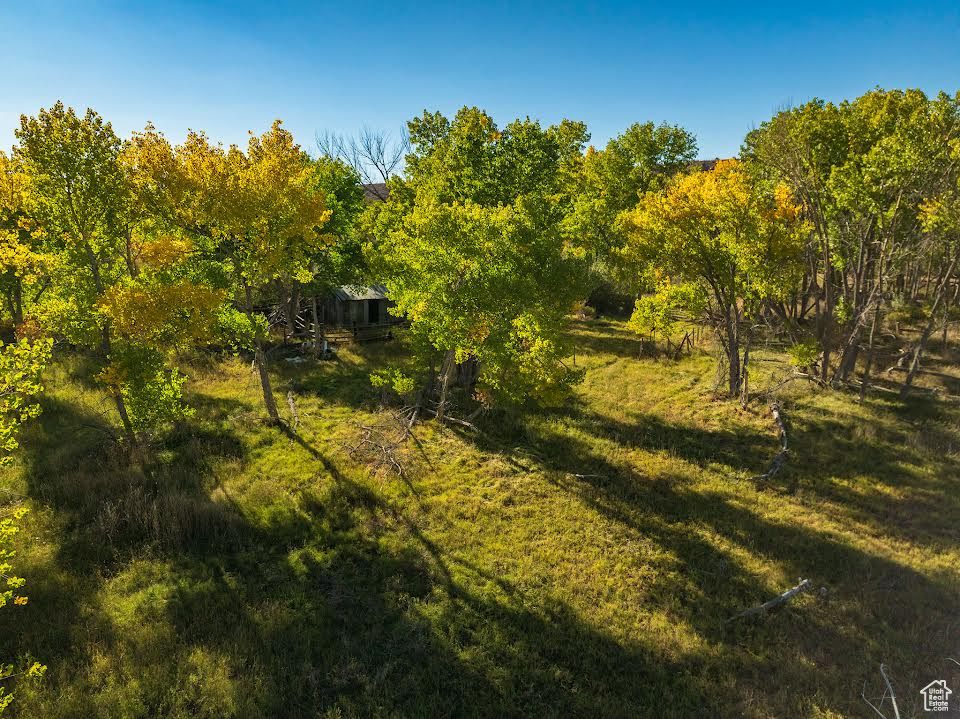 View of landscape