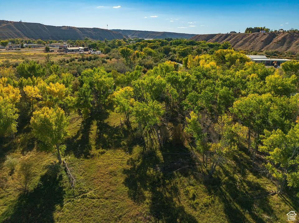 Aerial view featuring a mountain view