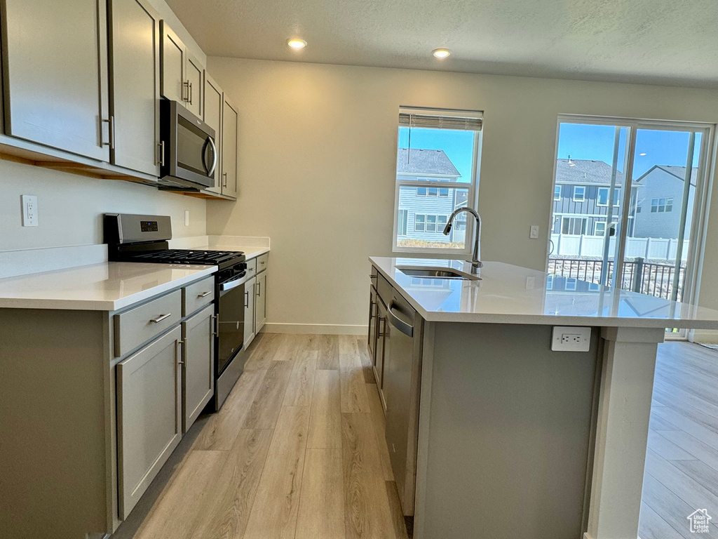 Kitchen with light hardwood / wood-style floors, appliances with stainless steel finishes, a healthy amount of sunlight, and sink