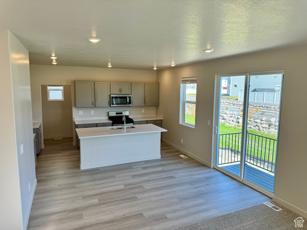 Kitchen featuring appliances with stainless steel finishes, gray cabinetry, light hardwood / wood-style floors, a textured ceiling, and a kitchen island with sink