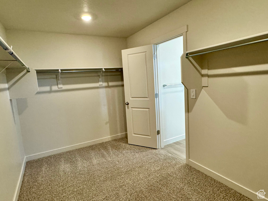 Spacious closet featuring carpet flooring