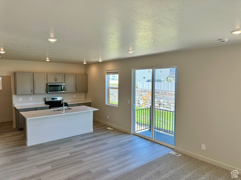 Kitchen featuring sink, an island with sink, light hardwood / wood-style flooring, stainless steel appliances, and gray cabinetry