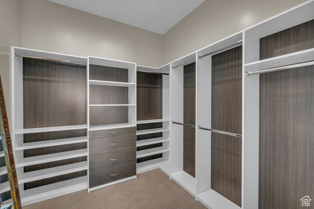 Spacious closet with carpet floors