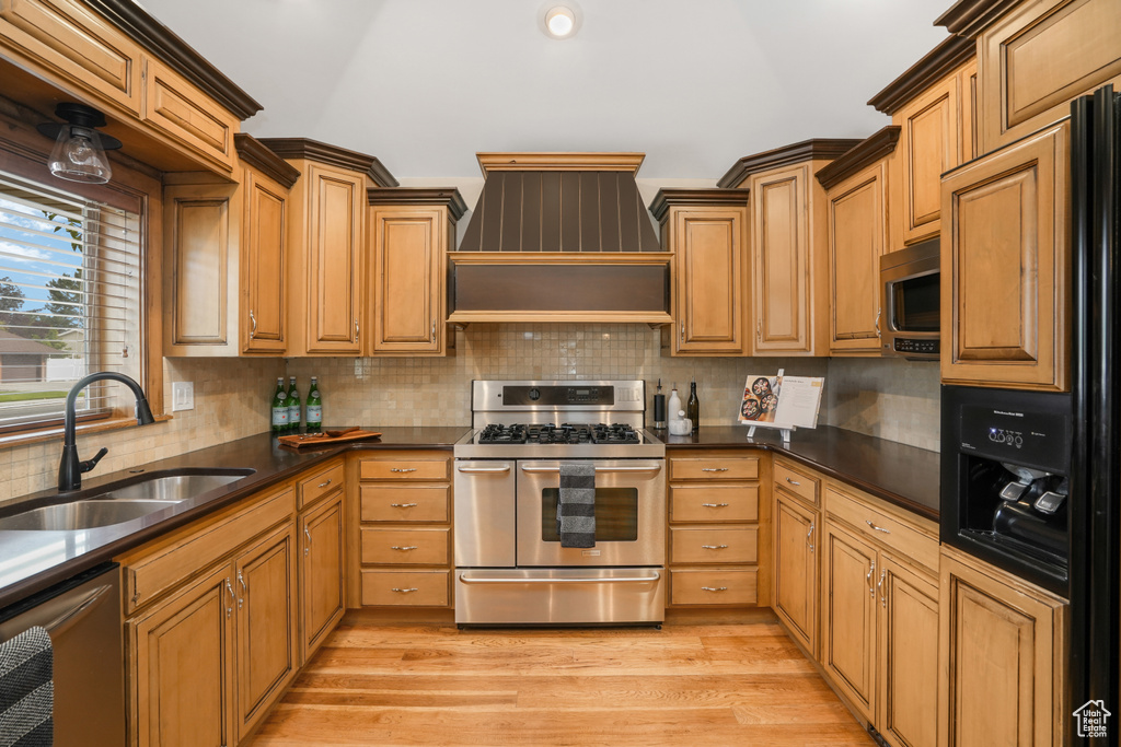 Kitchen with premium range hood, sink, tasteful backsplash, light hardwood / wood-style flooring, and appliances with stainless steel finishes