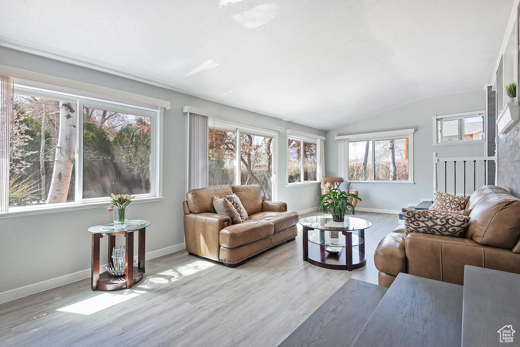 Living room with a healthy amount of sunlight, light hardwood / wood-style floors, and vaulted ceiling