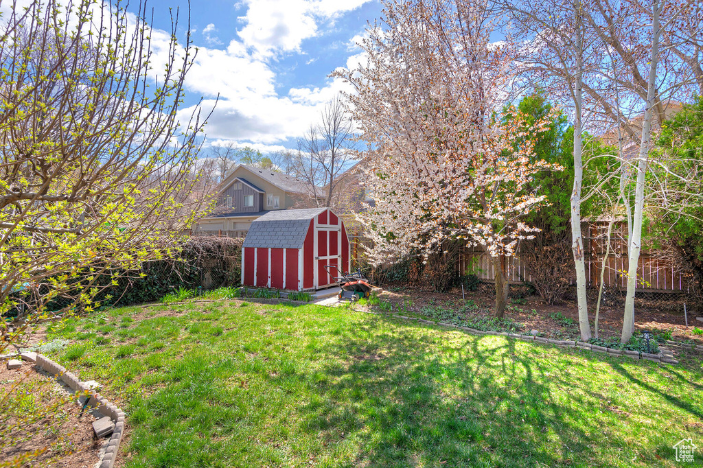 View of yard with a storage shed