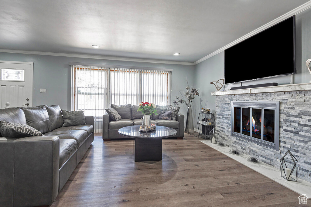 Living room featuring a stone fireplace, ornamental molding, and dark hardwood / wood-style flooring