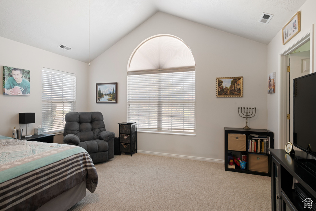 Bedroom with light colored carpet and lofted ceiling