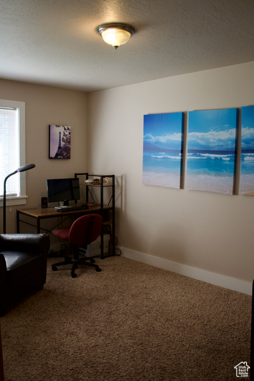 Carpeted home office with a textured ceiling