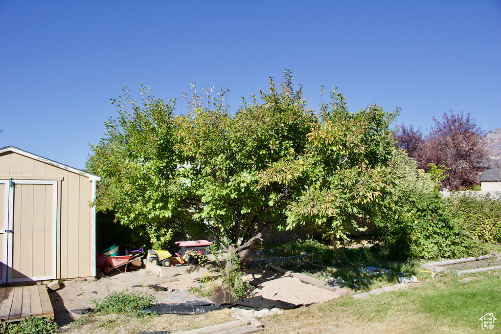 View of yard featuring a shed