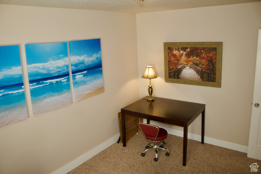 Home office with carpet flooring