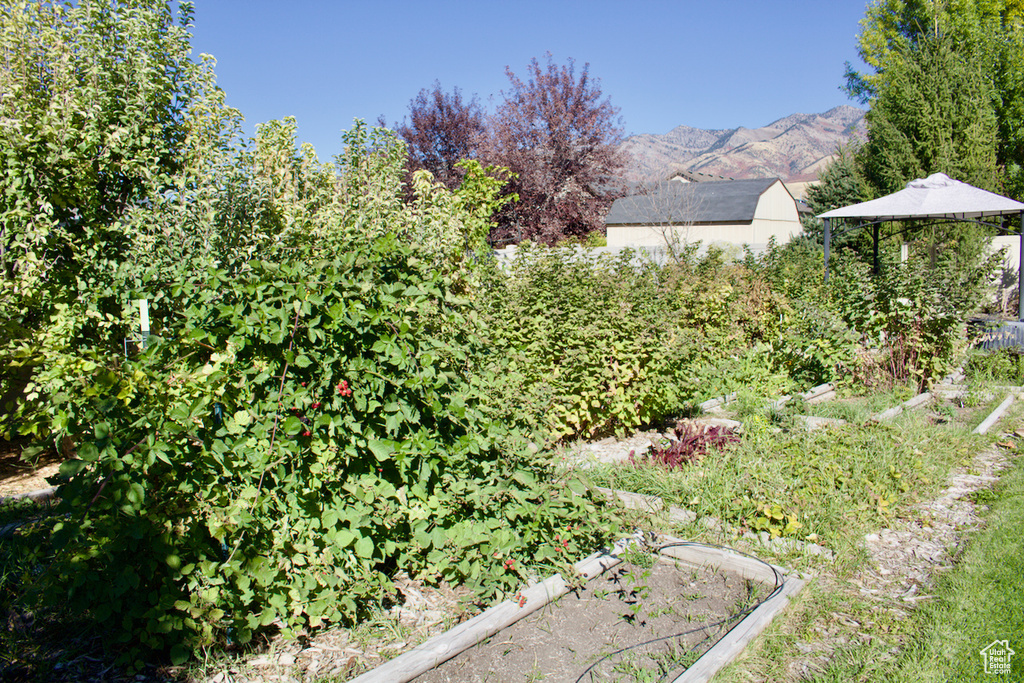 View of yard featuring a mountain view