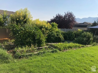 View of yard with a mountain view