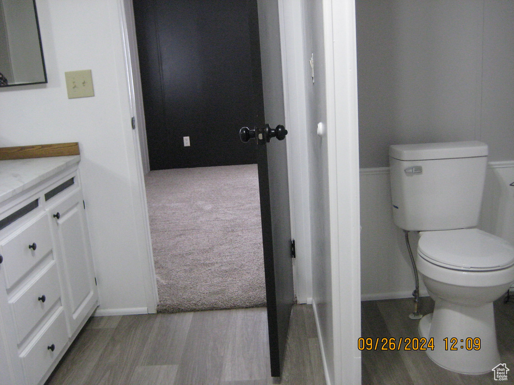 Bathroom with hardwood / wood-style floors, vanity, and toilet