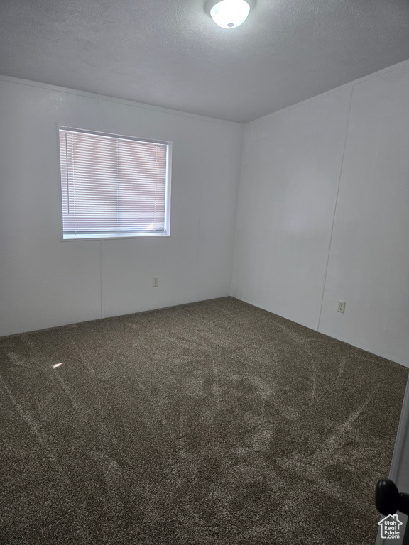 Carpeted spare room with a textured ceiling