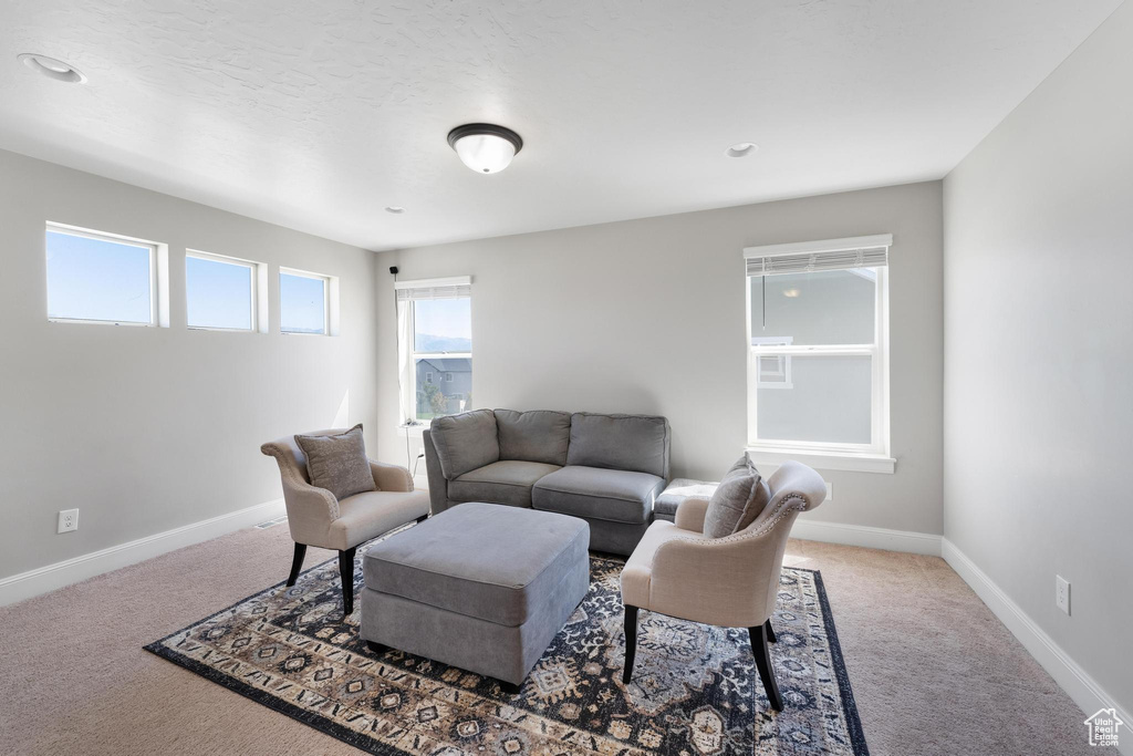 View of carpeted living room