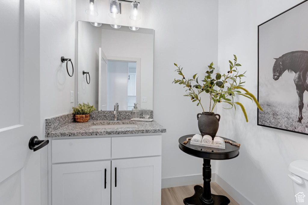 Bathroom with vanity, toilet, and hardwood / wood-style flooring