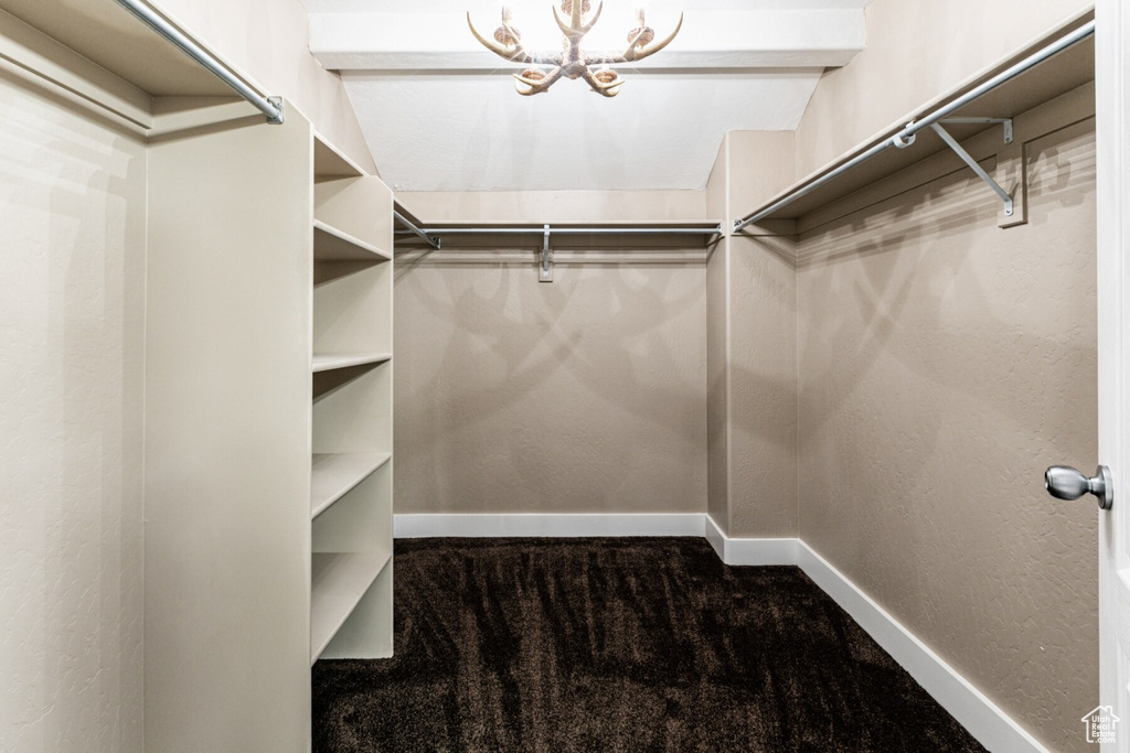 Walk in closet featuring an inviting chandelier and dark colored carpet