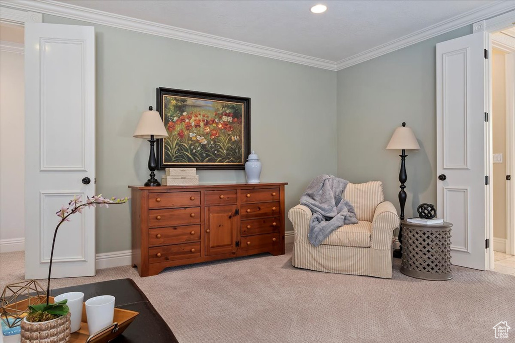 Sitting room featuring crown molding and light carpet