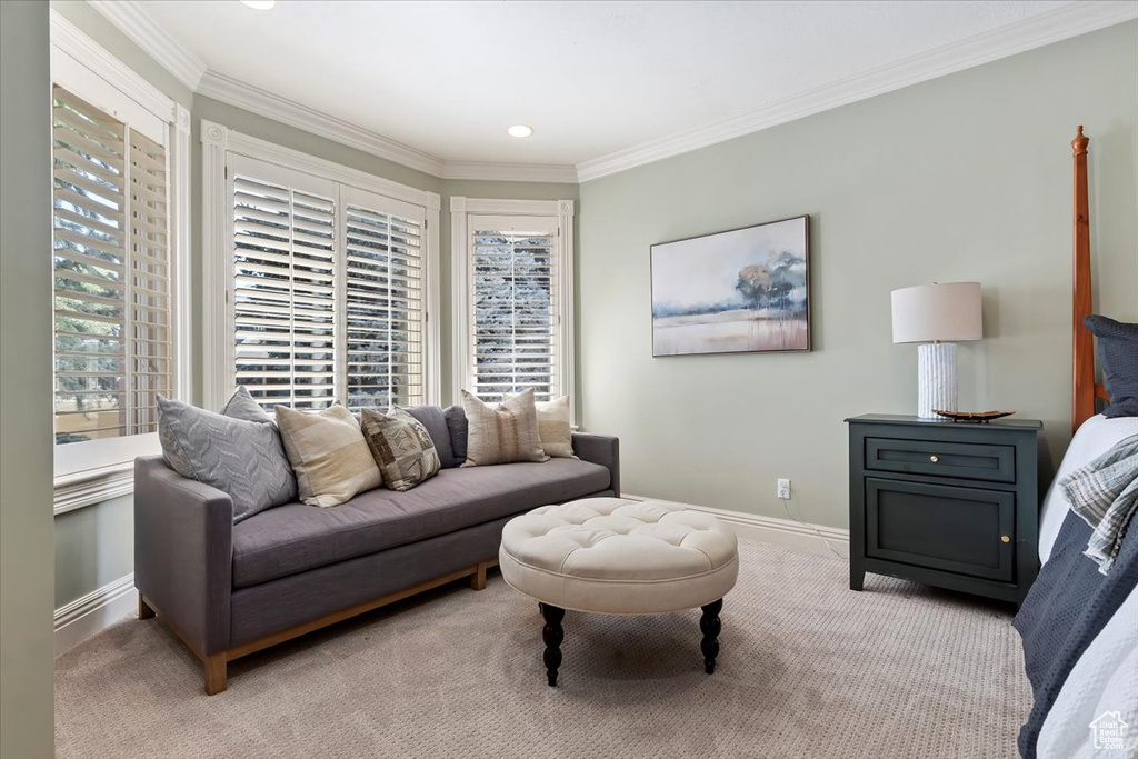 Carpeted living room with ornamental molding