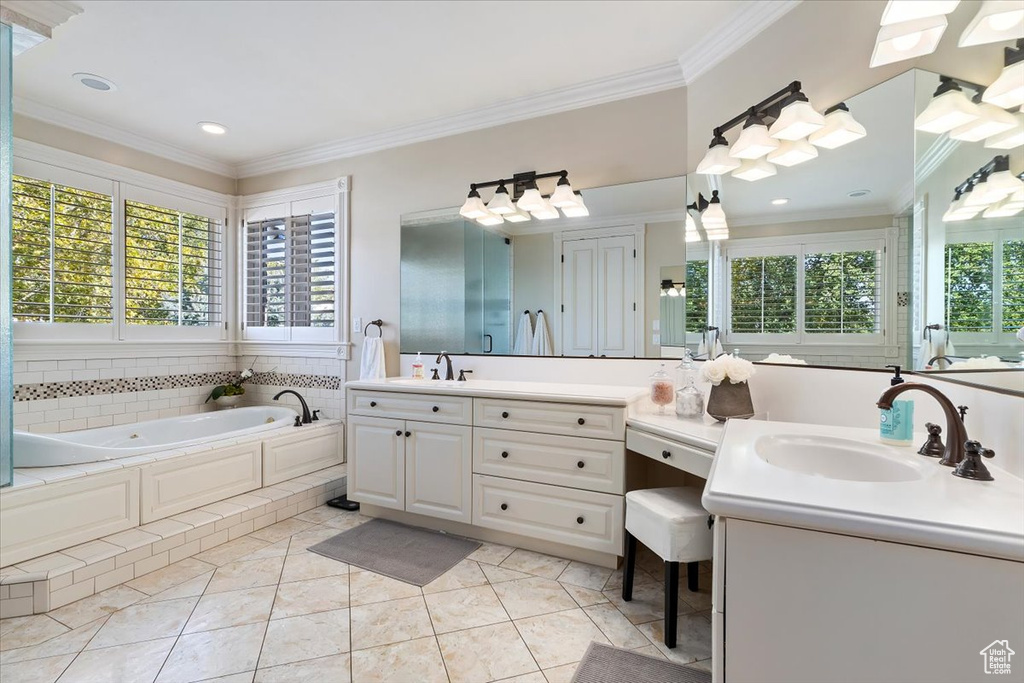 Bathroom featuring a bathtub, crown molding, vanity, and a wealth of natural light