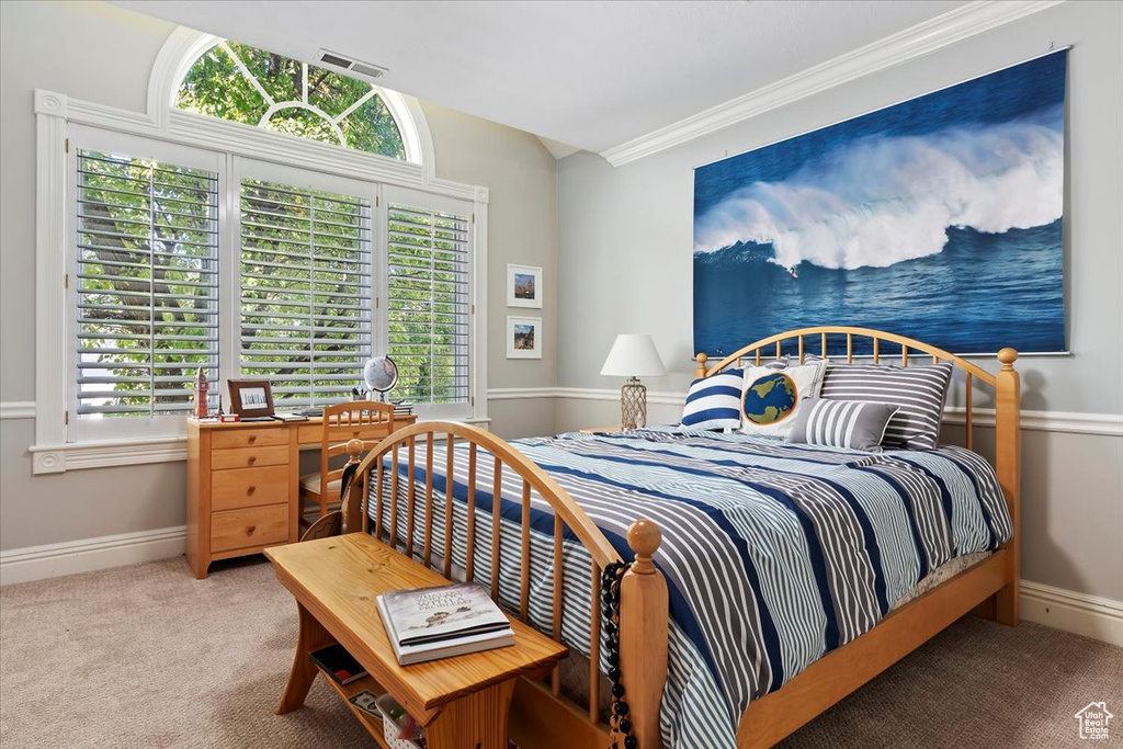 Bedroom with multiple windows, carpet, and ornamental molding