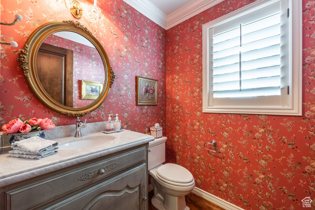 Bathroom featuring crown molding, vanity, and toilet