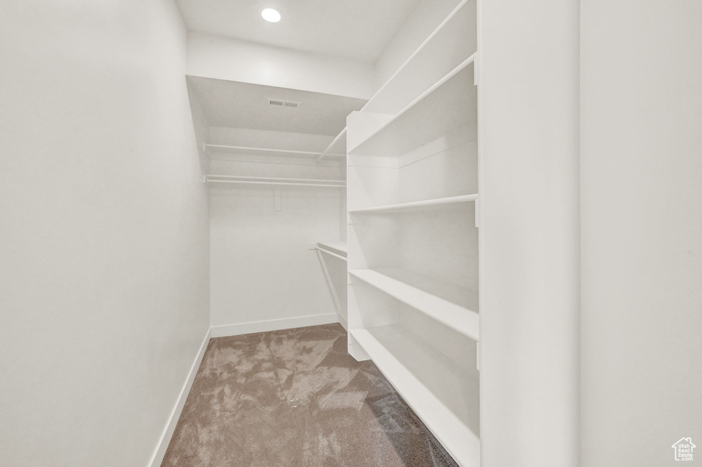 Walk in closet with light carpet