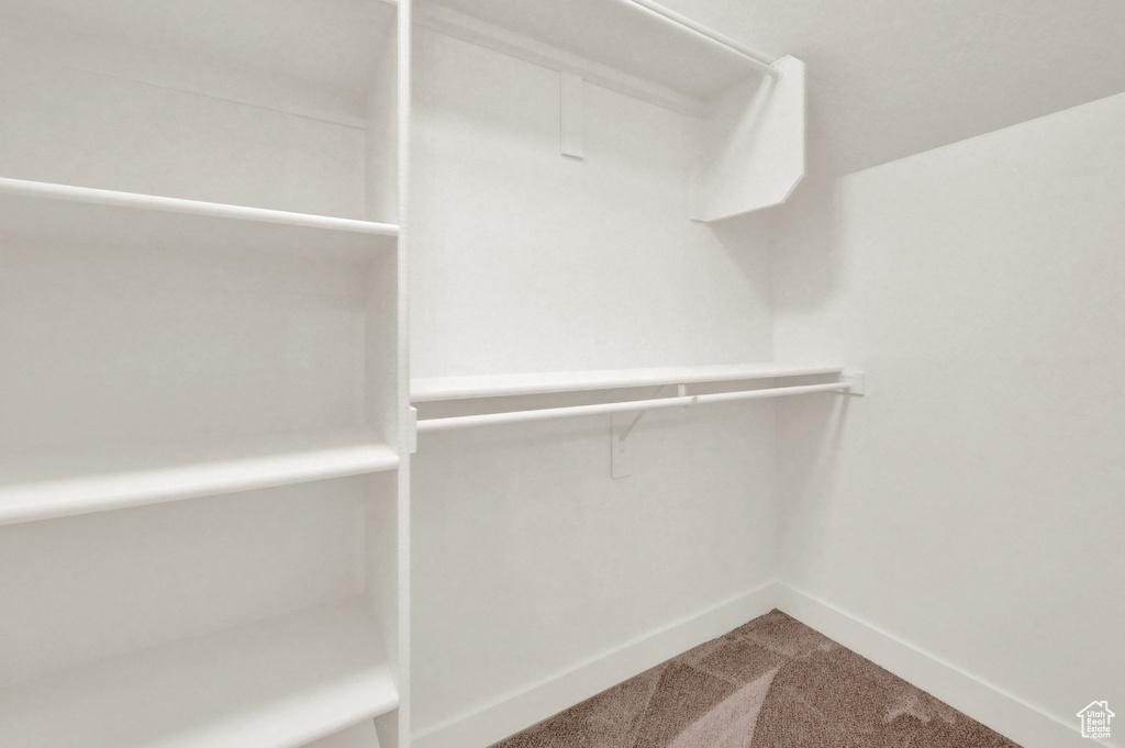 Spacious closet with carpet floors