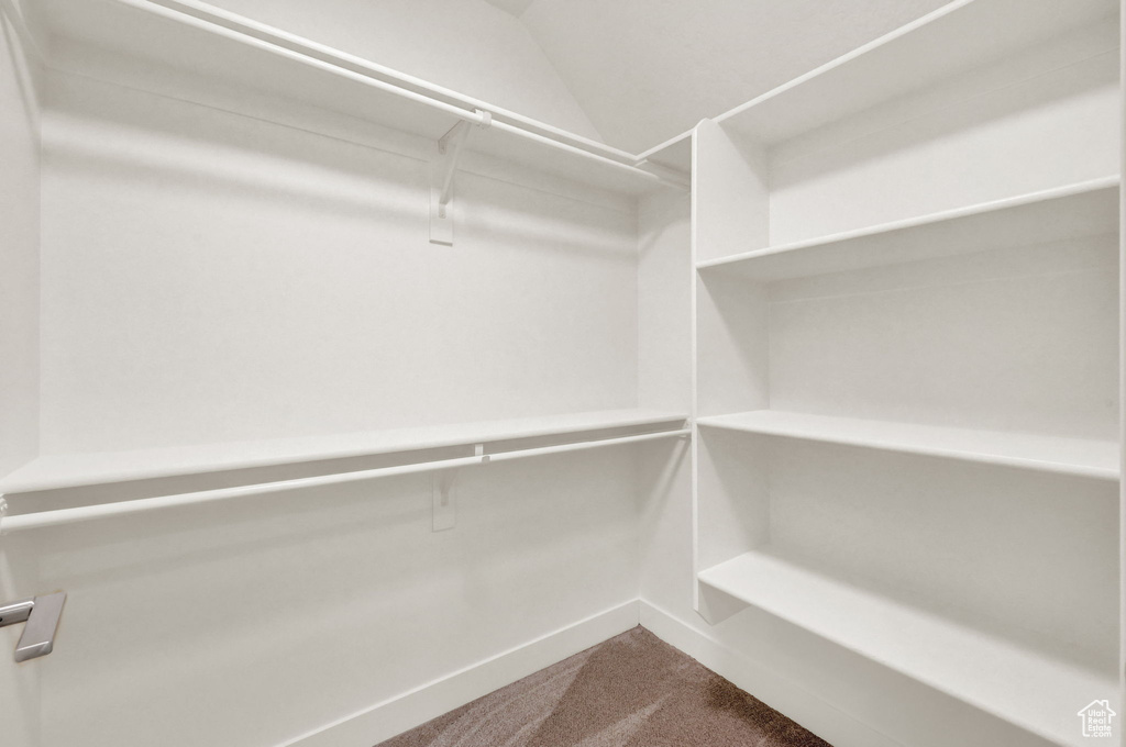 Walk in closet with carpet