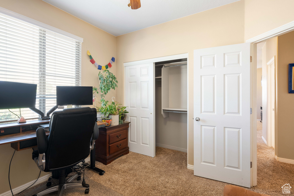 Office space with light colored carpet