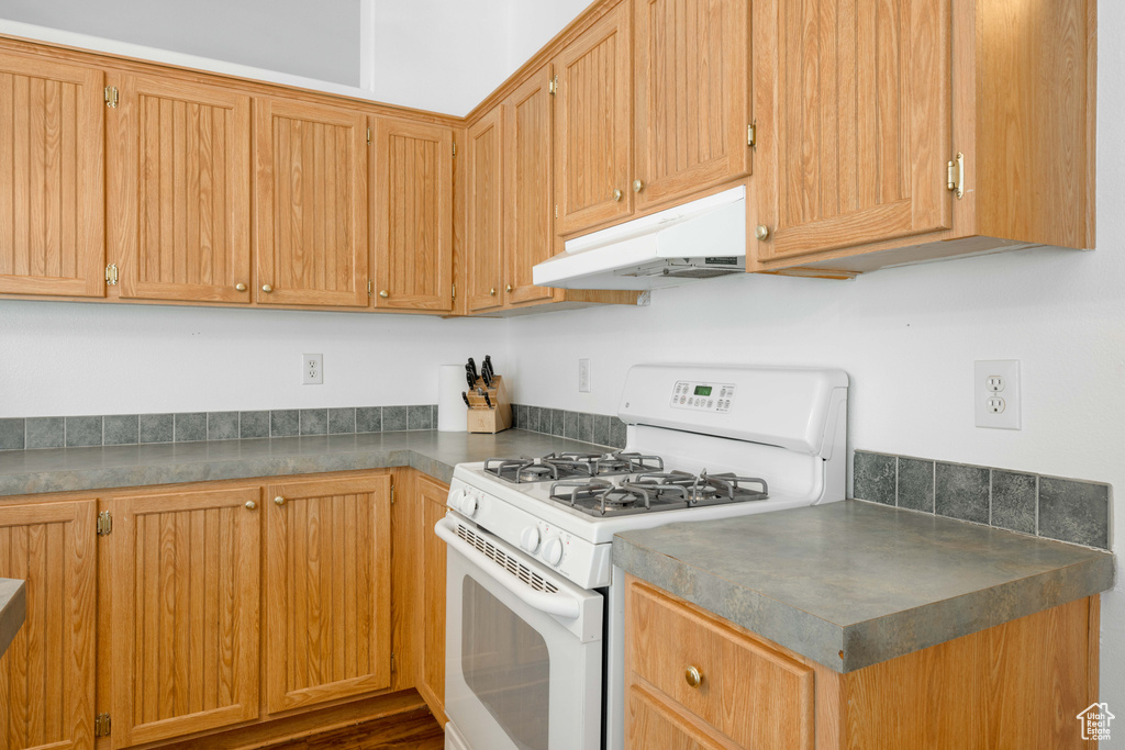 Kitchen with dark hardwood / wood-style floors and white gas stove