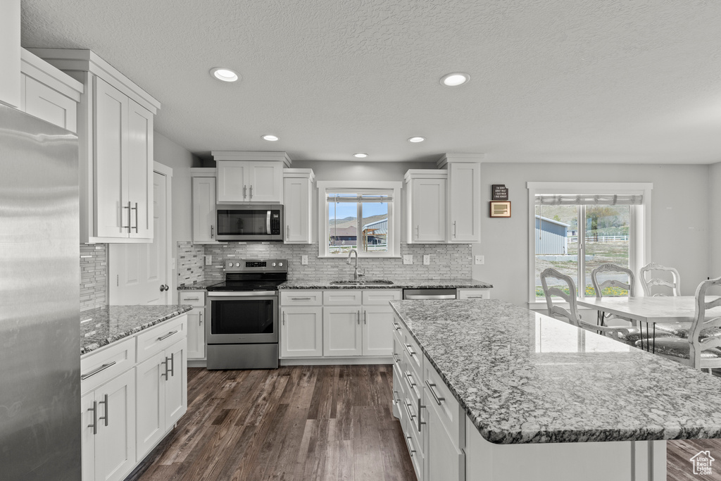 Kitchen with appliances with stainless steel finishes, a sink, white cabinets, dark wood-type flooring, and recessed lighting