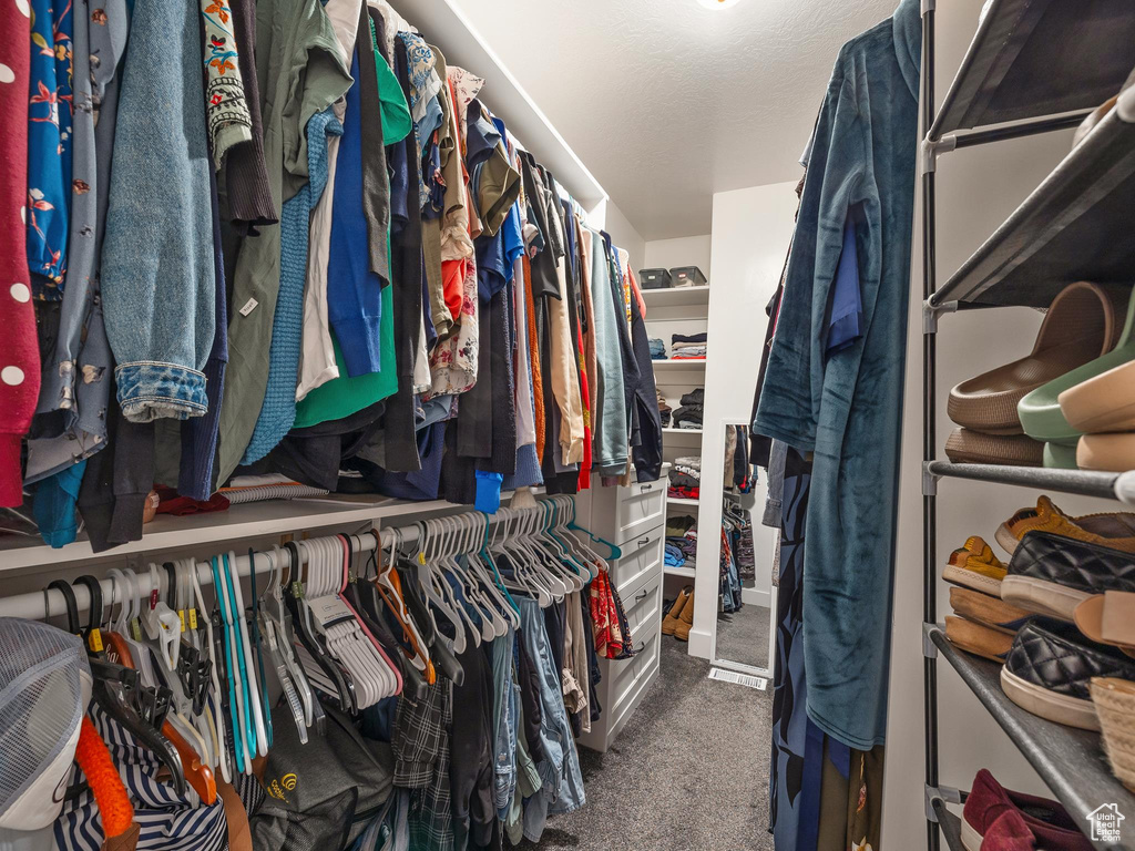 Walk in closet with carpet