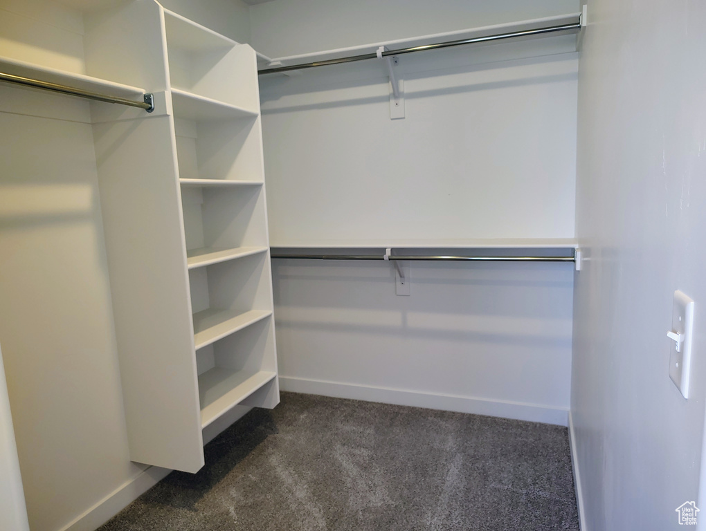 Spacious closet with dark carpet