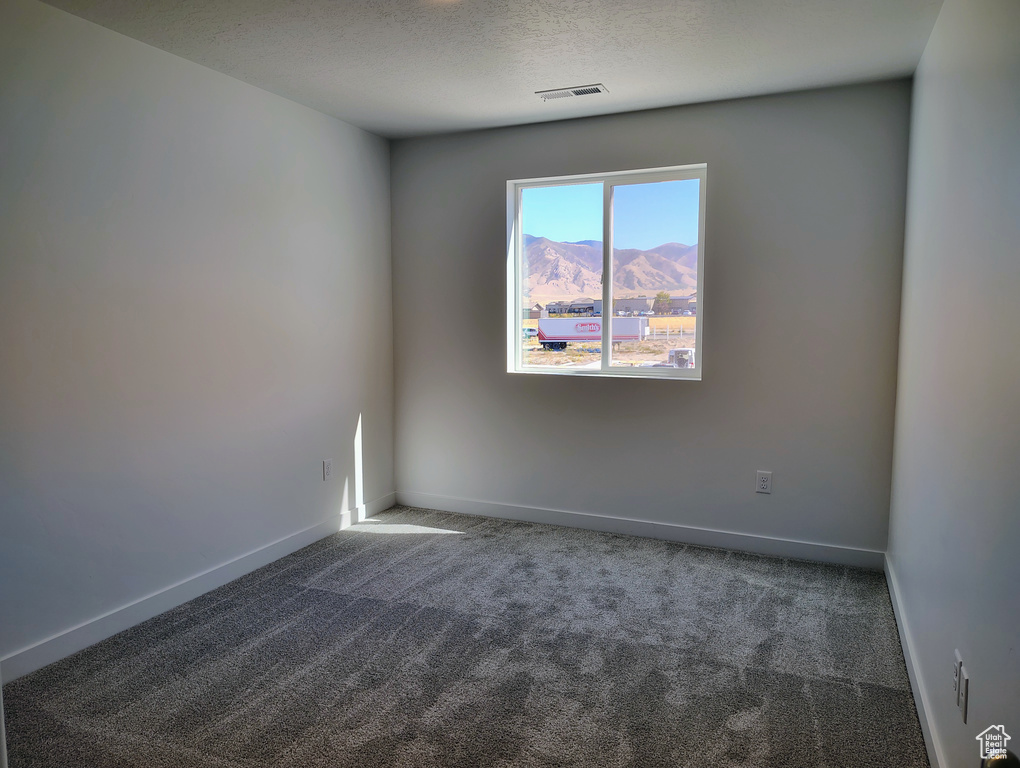 Spare room featuring carpet, a mountain view, and a textured ceiling