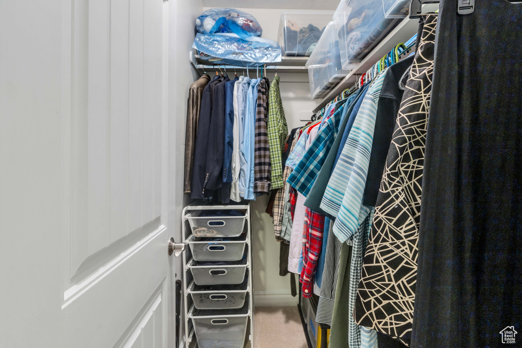 Spacious closet with carpet