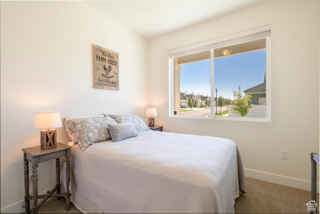 Bedroom with carpet floors