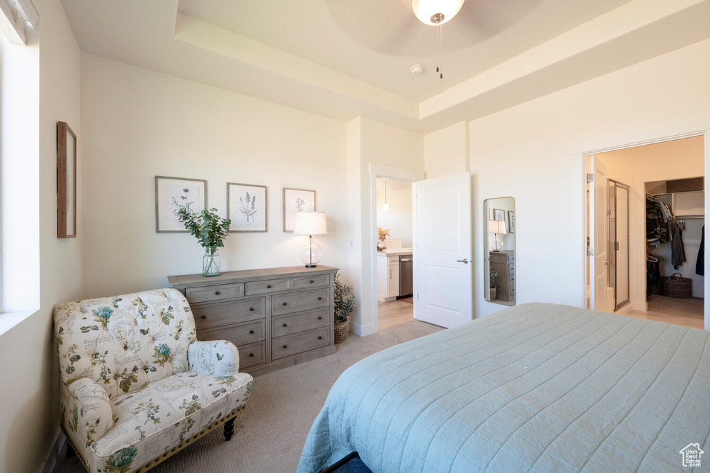 Bedroom with a raised ceiling, a closet, ceiling fan, a walk in closet, and light carpet